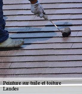 peinture-sur-tuile-et-toiture