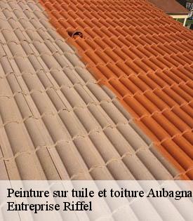 peinture-sur-tuile-et-toiture