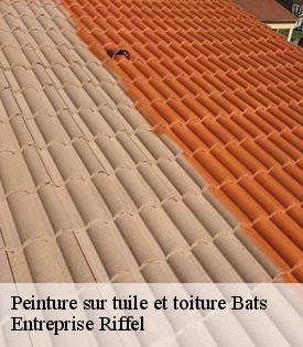 peinture-sur-tuile-et-toiture