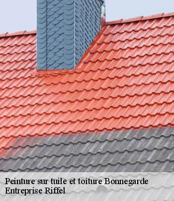 peinture-sur-tuile-et-toiture