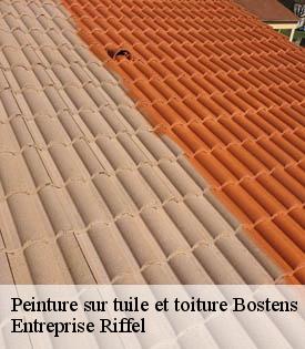 peinture-sur-tuile-et-toiture