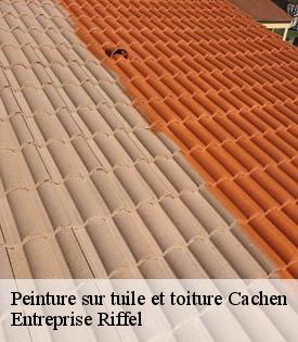 peinture-sur-tuile-et-toiture