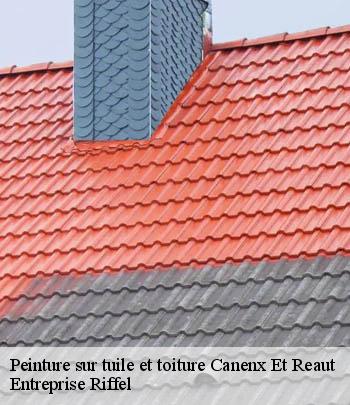 peinture-sur-tuile-et-toiture