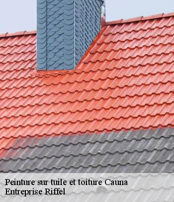 peinture-sur-tuile-et-toiture