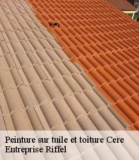 peinture-sur-tuile-et-toiture