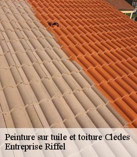 peinture-sur-tuile-et-toiture