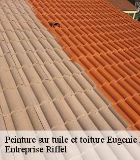 peinture-sur-tuile-et-toiture