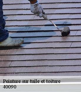 peinture-sur-tuile-et-toiture