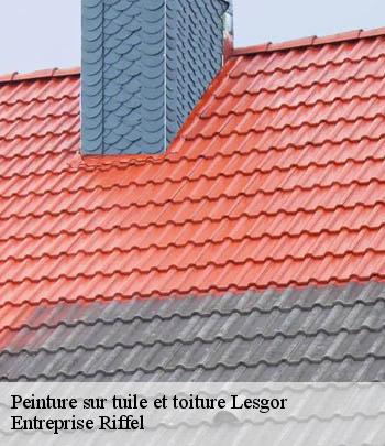 peinture-sur-tuile-et-toiture