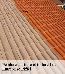 peinture-sur-tuile-et-toiture