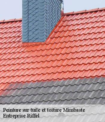 peinture-sur-tuile-et-toiture