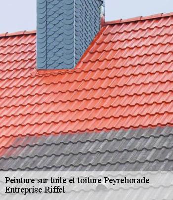 peinture-sur-tuile-et-toiture