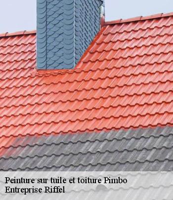 peinture-sur-tuile-et-toiture