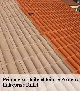 peinture-sur-tuile-et-toiture