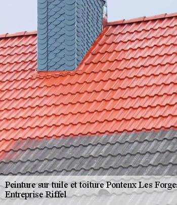 peinture-sur-tuile-et-toiture