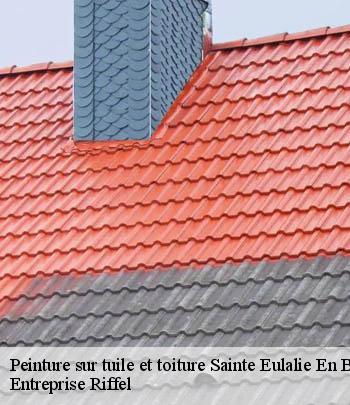 peinture-sur-tuile-et-toiture