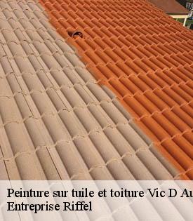 peinture-sur-tuile-et-toiture